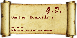 Gantner Domicián névjegykártya